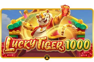 မြန်မာ ကစားသူများ domabet Live Card ဂိမ်း ကစားနေသည့် မြင်ကွင်း